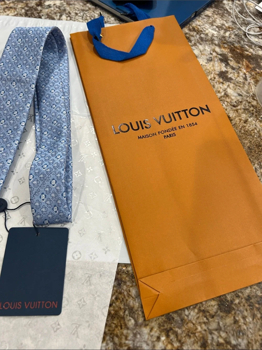 Louis Vuitton Light Blue Patterned Silk Tie